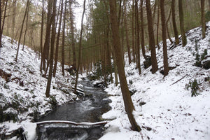 Pine Creek pennsylvania tributary in winter - photo Purple Lizard Maps