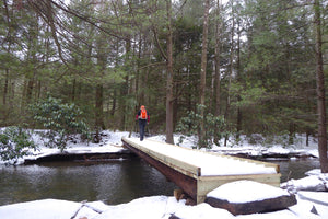 While Deer Creek Mid State Trail Bald Eagle State Forest