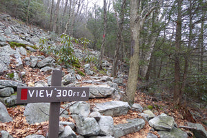 Rothrock Lizard Map, Pennsylvania