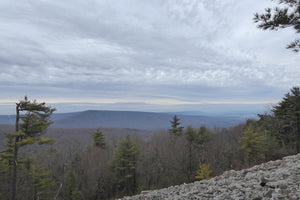 Rothrock Lizard Map, Pennsylvania