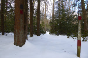 Rothrock State Forest in Winter - photo by Purple Lizard Maps