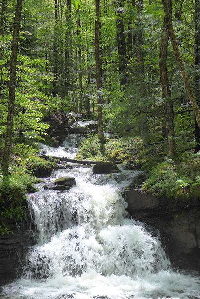 Legend: Dolly Sods - Seneca Rocks West Virginia Purple Lizard Map