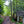 Trail in Otter Creek Wilderness: Purple Lizard Elkins-Otter Creek Lizard Map