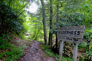 Trail in Otter Creek Wilderness: Purple Lizard Elkins-Otter Creek Lizard Map