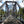 Ohiopyle-Laurel Highlands Lizard Map: Pennsylvania