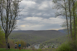 Ohiopyle-Laurel Highlands Lizard Map: Pennsylvania