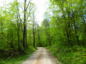 Road to Ohiopyle - Laurel Highlands Photo Purple Lizard Maps