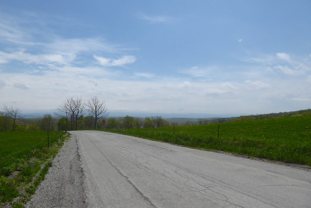 Ohiopyle-Laurel Highlands Lizard Map: Pennsylvania