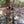 Creek in Michaux State Forest Spring: Photo Purple Lizard Maps