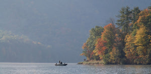 Raystown Lizard Map, Pennsylvania