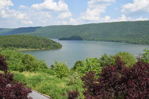 Raystown Lizard Map, Pennsylvania