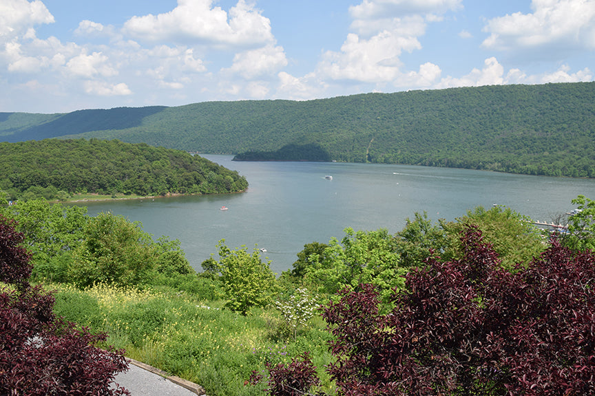 Raystown Lizard Map, Pennsylvania
