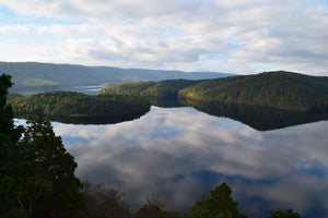 Raystown Lizard Map, Pennsylvania