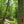Central Mountains Trail Bald Eagle State Forest