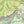 Crop of Purple Lizard Map - Detailed Map of Shenandoah National Park