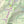 Crop of Shenandoah National Park Purple Lizard Map - Detailed Maps of Shenandoah National Park 