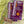Shenandoah National Park and Surrounding Area 2 Pack Purple Lizard Maps - Adventure Starts Here
