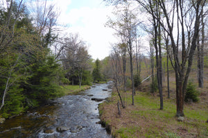 Moshannon Quehanna Pennsylvania - creek photo: Purple Lizard Maps