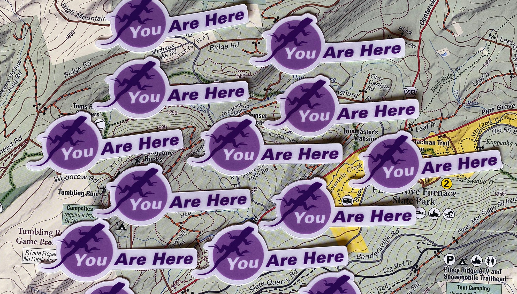 "You Are Here" Lizard Sticker