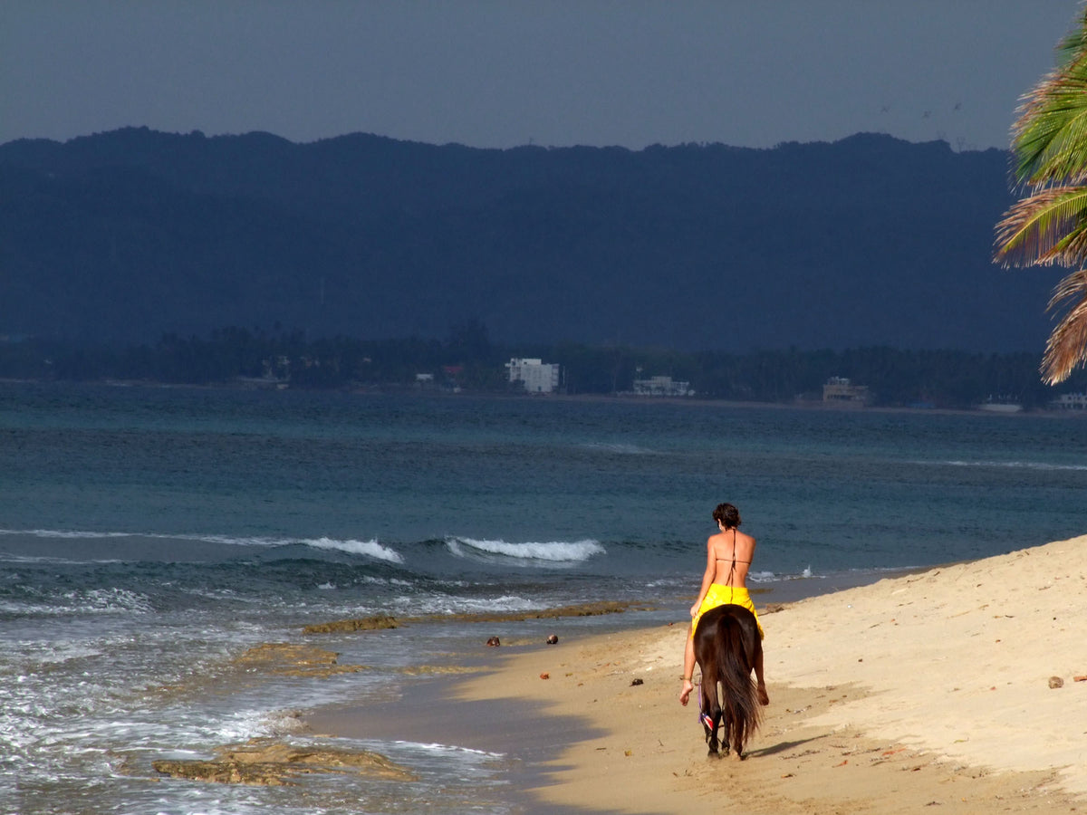 Rincon Puerto Rico: Photo Purple Lizard Maps