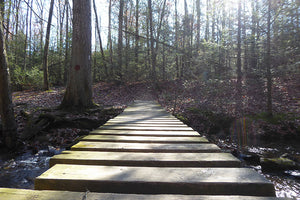 Bridge in Michaux State Forest: Photo Purple Lizard Maps