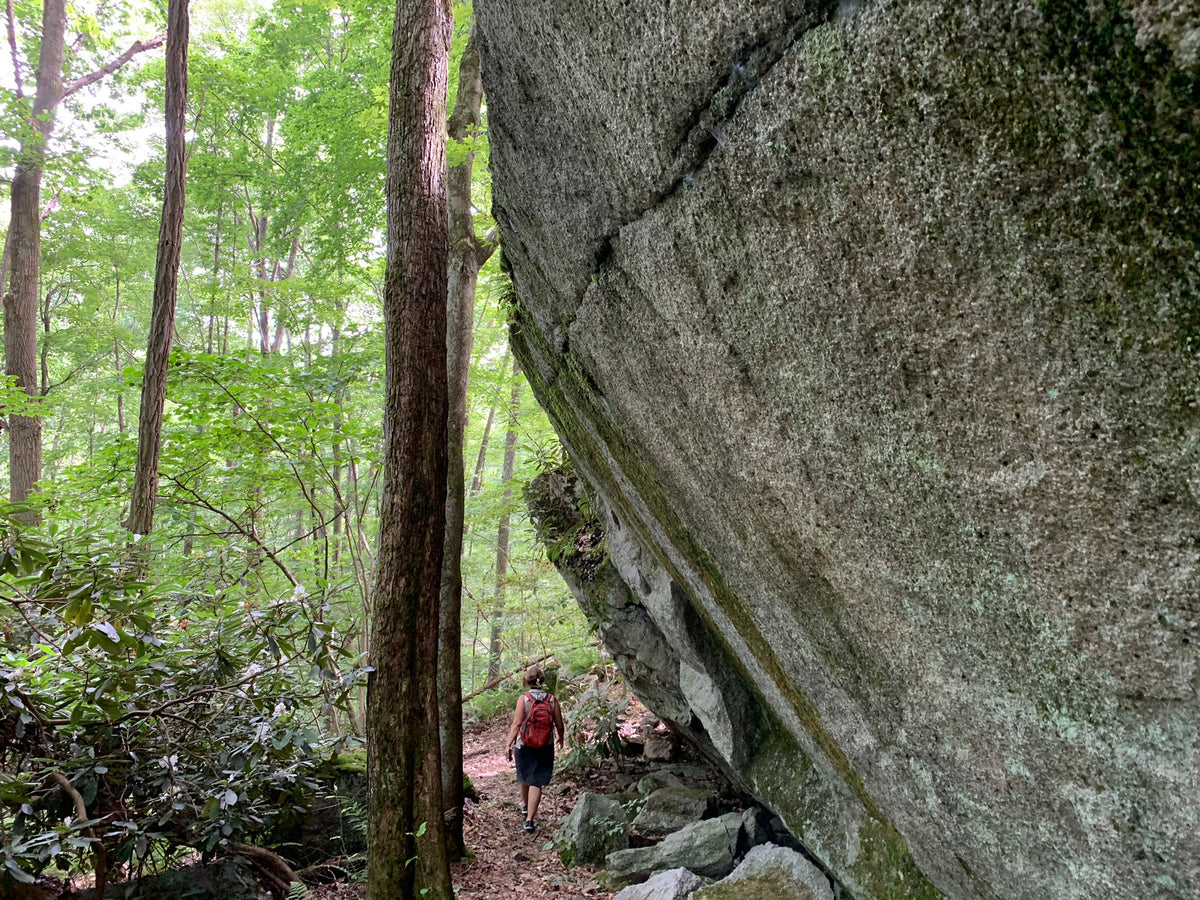 Ohiopyle-Laurel Highlands Lizard Map: Pennsylvania