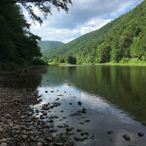 Pine Creek PA view photo Purple Lizard Maps