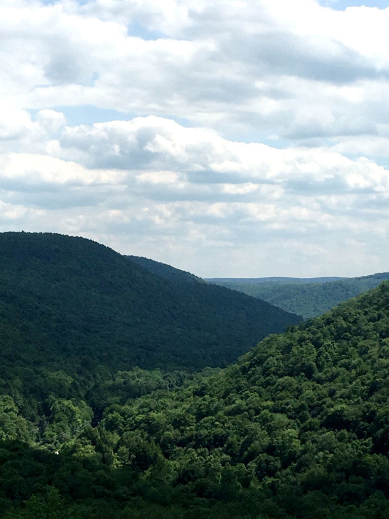 Pine Creek: Grand Canyon of Pennsylvania Photo Purple Lizard Maps