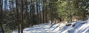 Rothrock Roads Winter photo by Purple Lizard Maps