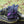 Lizard Woolie Boolie Socks by DeFeet